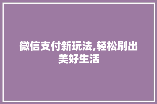微信支付新玩法,轻松刷出美好生活 建站教程