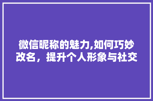微信昵称的魅力,如何巧妙改名，提升个人形象与社交价值 友链在线