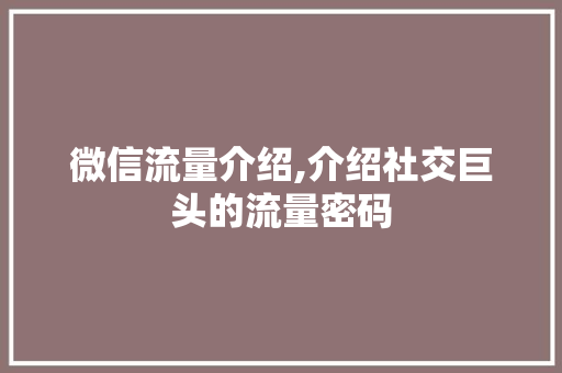 微信流量介绍,介绍社交巨头的流量密码