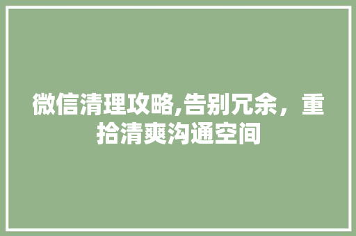 微信清理攻略,告别冗余，重拾清爽沟通空间 SEO教程