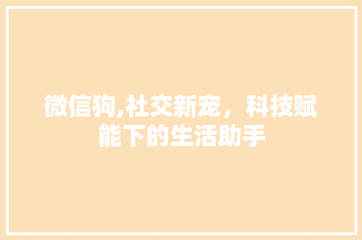 微信狗,社交新宠，科技赋能下的生活助手