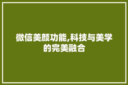 微信美颜功能,科技与美学的完美融合