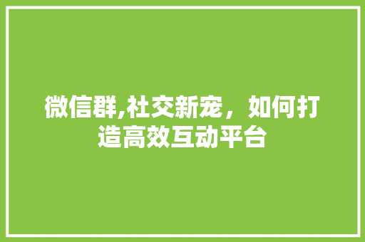 微信群,社交新宠，如何打造高效互动平台 建站教程