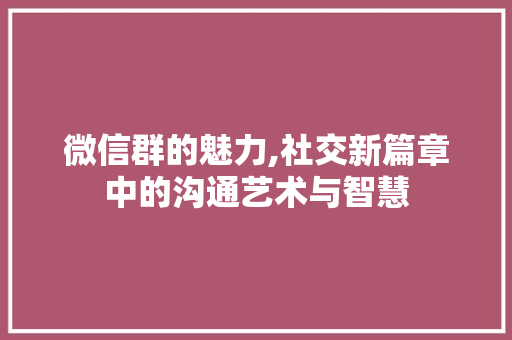 微信群的魅力,社交新篇章中的沟通艺术与智慧 服务器/数据库