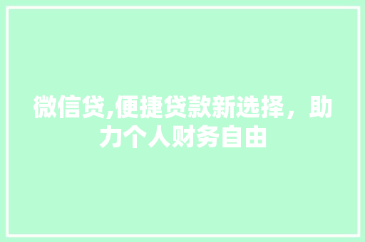 微信贷,便捷贷款新选择，助力个人财务自由 SEO教程