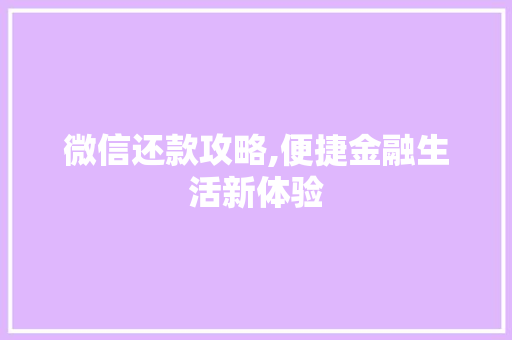 微信还款攻略,便捷金融生活新体验