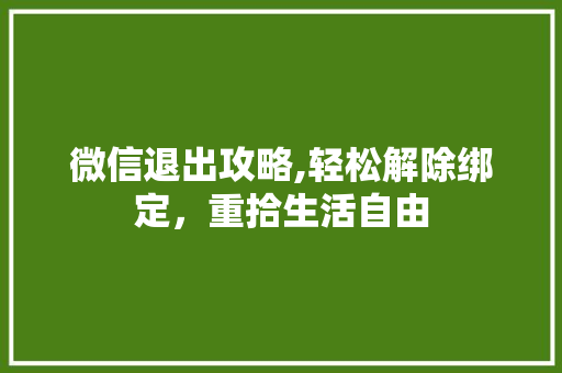微信退出攻略,轻松解除绑定，重拾生活自由 Web前端