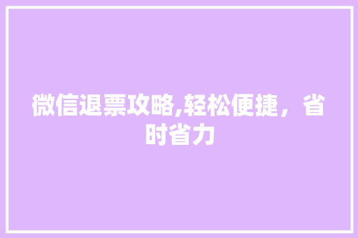 微信退票攻略,轻松便捷，省时省力 建站教程