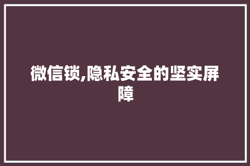 微信锁,隐私安全的坚实屏障 SEO教程