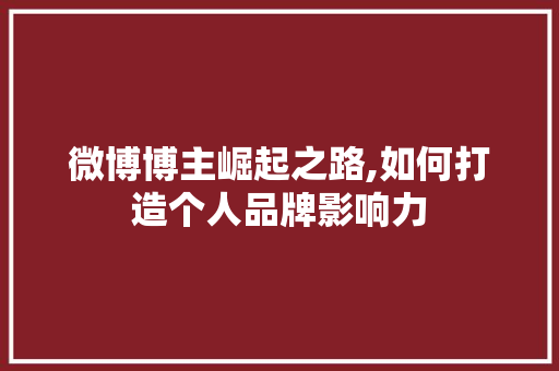 微博博主崛起之路,如何打造个人品牌影响力 SEO教程