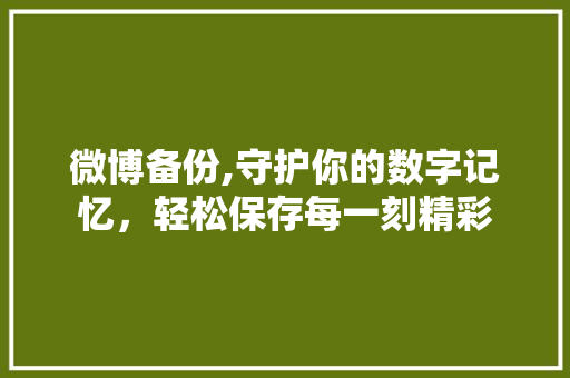微博备份,守护你的数字记忆，轻松保存每一刻精彩 建站教程