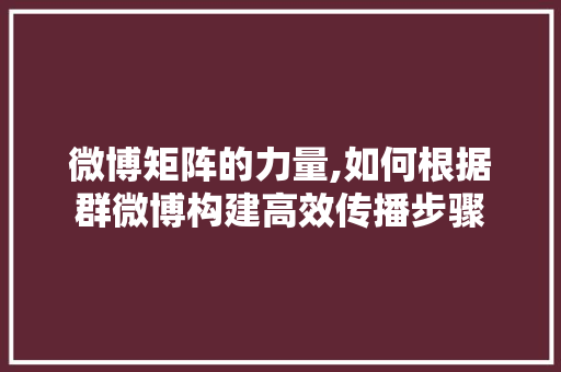 微博矩阵的力量,如何根据群微博构建高效传播步骤