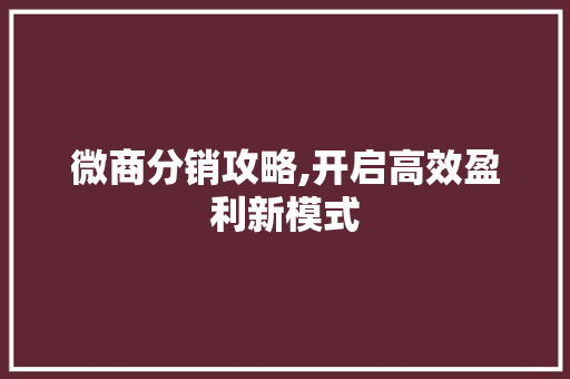 微商分销攻略,开启高效盈利新模式