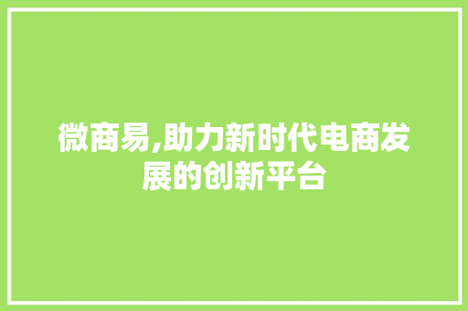 微商易,助力新时代电商发展的创新平台