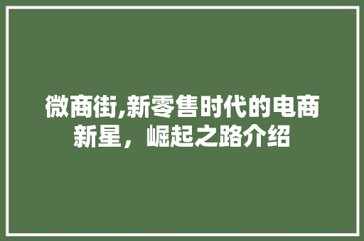 微商街,新零售时代的电商新星，崛起之路介绍