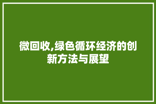 微回收,绿色循环经济的创新方法与展望