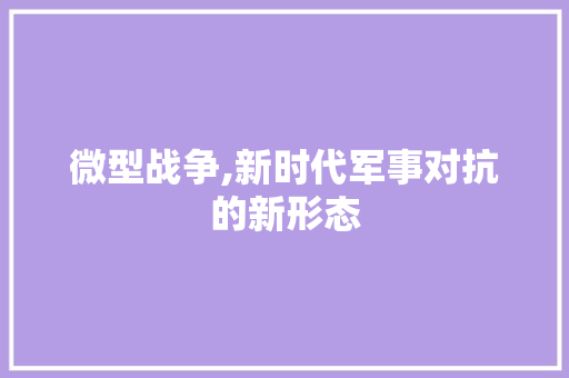 微型战争,新时代军事对抗的新形态