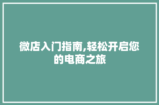微店入门指南,轻松开启您的电商之旅