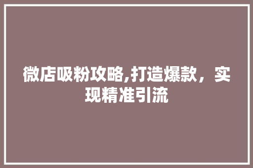 微店吸粉攻略,打造爆款，实现精准引流