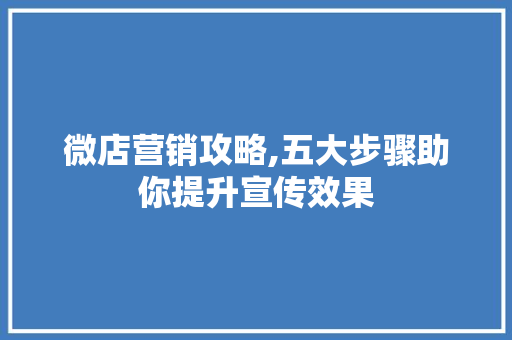 微店营销攻略,五大步骤助你提升宣传效果 WordPress教程