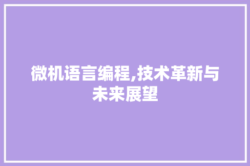 微机语言编程,技术革新与未来展望