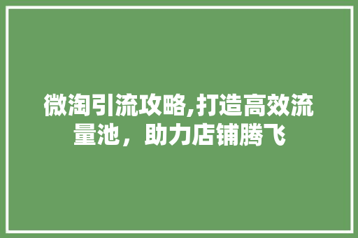 微淘引流攻略,打造高效流量池，助力店铺腾飞