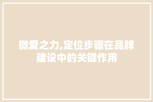微爱之力,定位步骤在品牌建设中的关键作用
