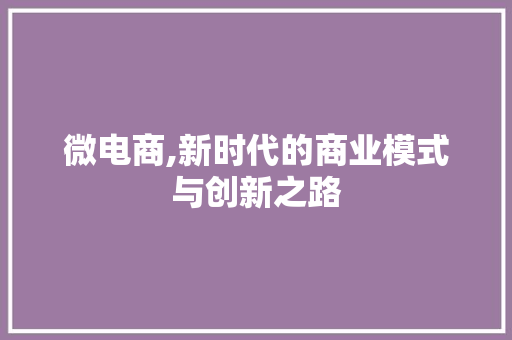 微电商,新时代的商业模式与创新之路