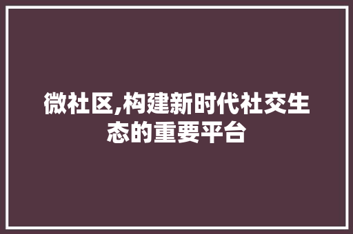 微社区,构建新时代社交生态的重要平台