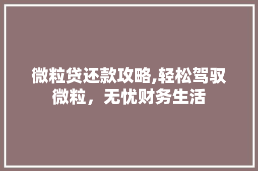 微粒贷还款攻略,轻松驾驭微粒，无忧财务生活 SEO教程