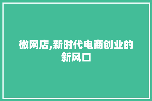 微网店,新时代电商创业的新风口 服务器/数据库