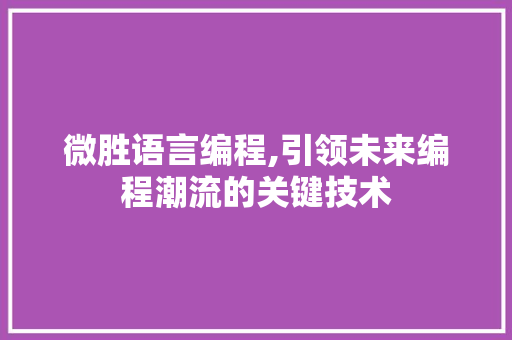 微胜语言编程,引领未来编程潮流的关键技术