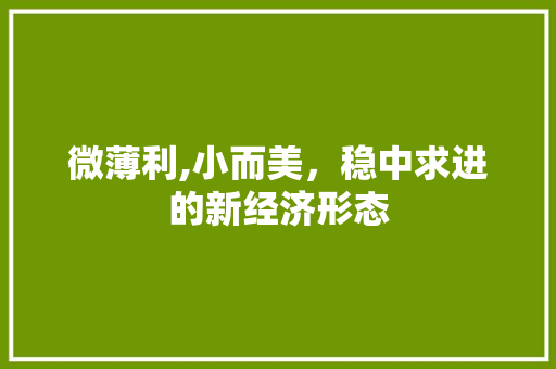 微薄利,小而美，稳中求进的新经济形态 WordPress教程