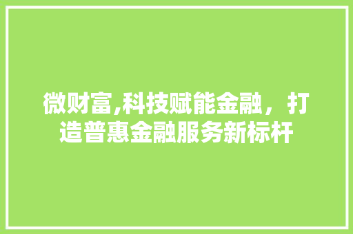 微财富,科技赋能金融，打造普惠金融服务新标杆