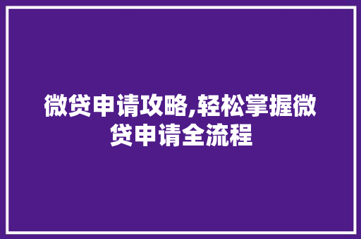 微贷申请攻略,轻松掌握微贷申请全流程