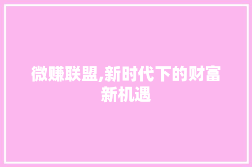 微赚联盟,新时代下的财富新机遇 SEO教程