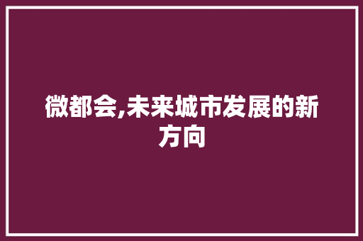 微都会,未来城市发展的新方向