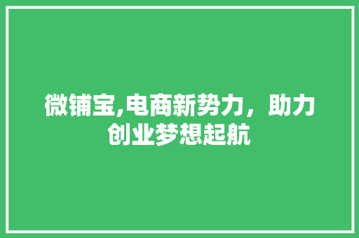 微铺宝,电商新势力，助力创业梦想起航