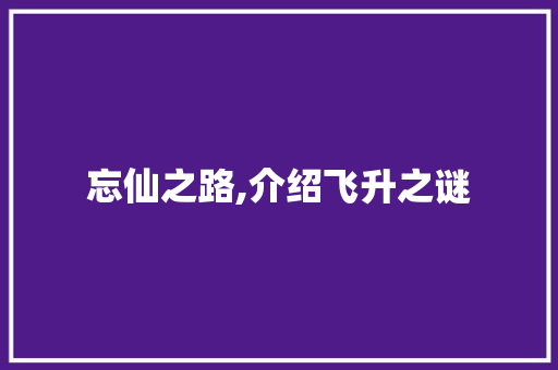 忘仙之路,介绍飞升之谜