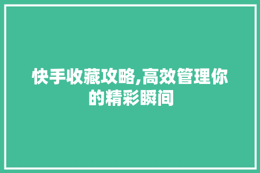 快手收藏攻略,高效管理你的精彩瞬间