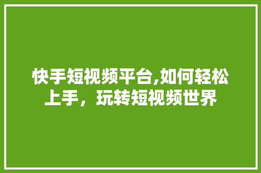 快手短视频平台,如何轻松上手，玩转短视频世界