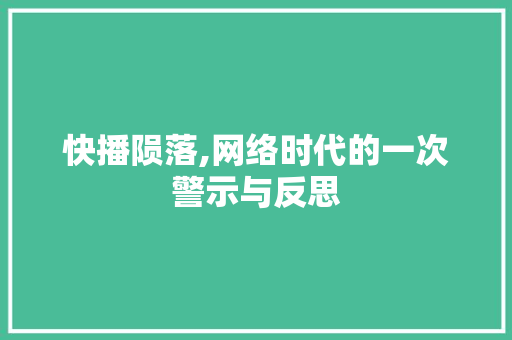快播陨落,网络时代的一次警示与反思