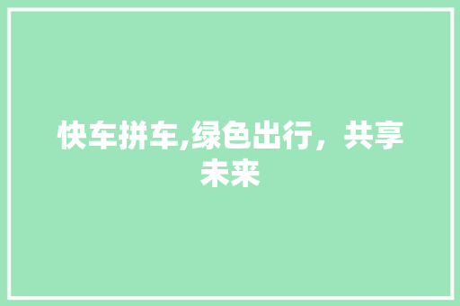 快车拼车,绿色出行，共享未来