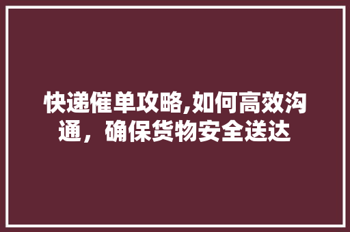 快递催单攻略,如何高效沟通，确保货物安全送达