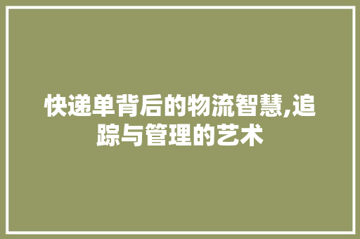 快递单背后的物流智慧,追踪与管理的艺术