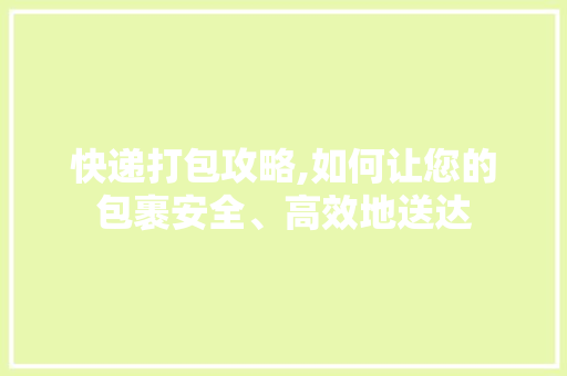 快递打包攻略,如何让您的包裹安全、高效地送达