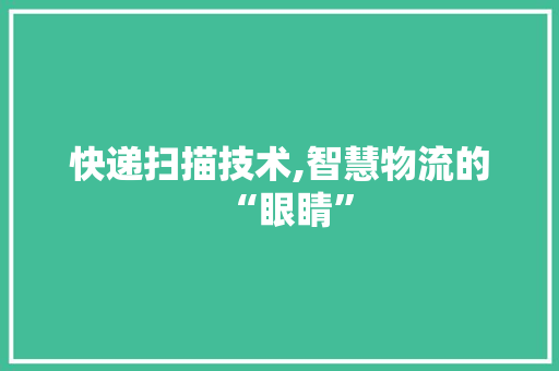 快递扫描技术,智慧物流的“眼睛”