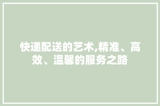 快递配送的艺术,精准、高效、温馨的服务之路