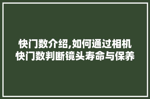 快门数介绍,如何通过相机快门数判断镜头寿命与保养方法