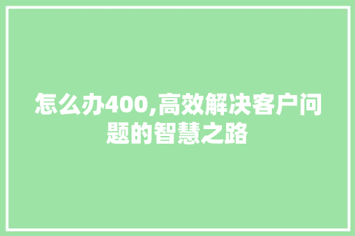 怎么办400,高效解决客户问题的智慧之路